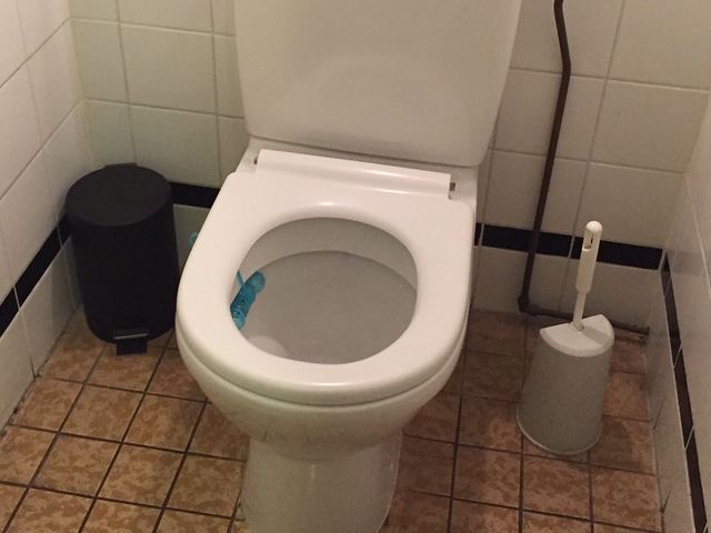 トイレ空間の進化と未来